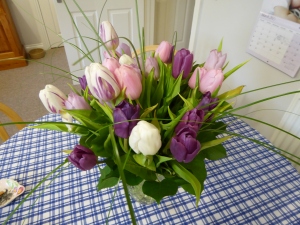 Tulips for Joy