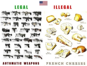 Which is the killer? Gun or Cheese?